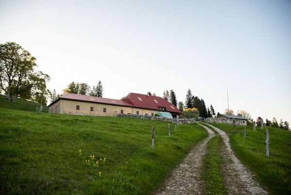 _DSC0212_RET